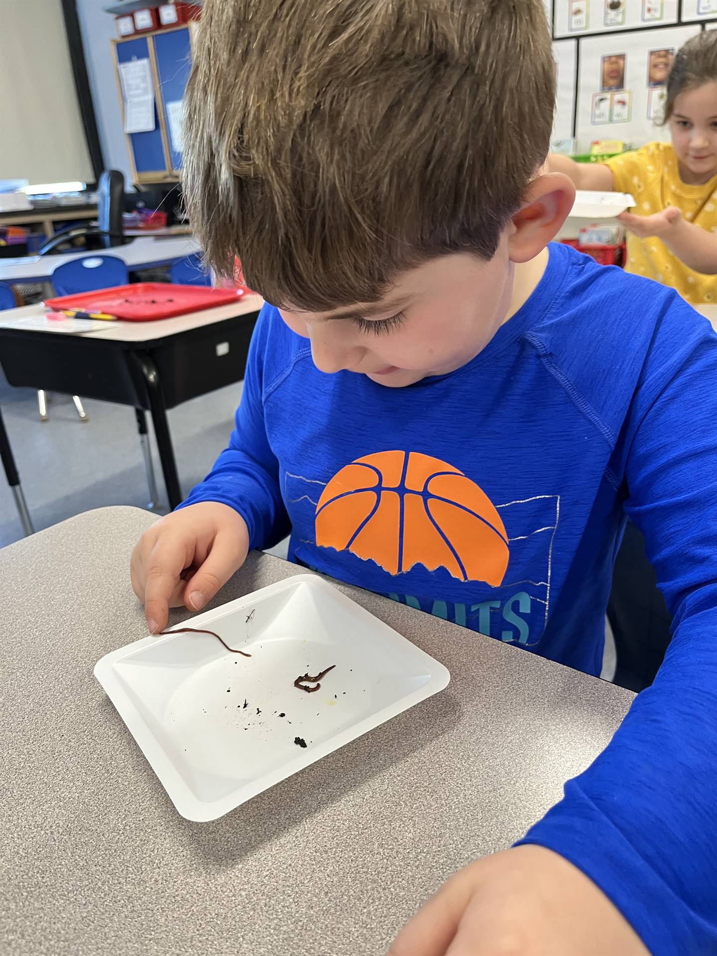a student observes a worm on a white plate