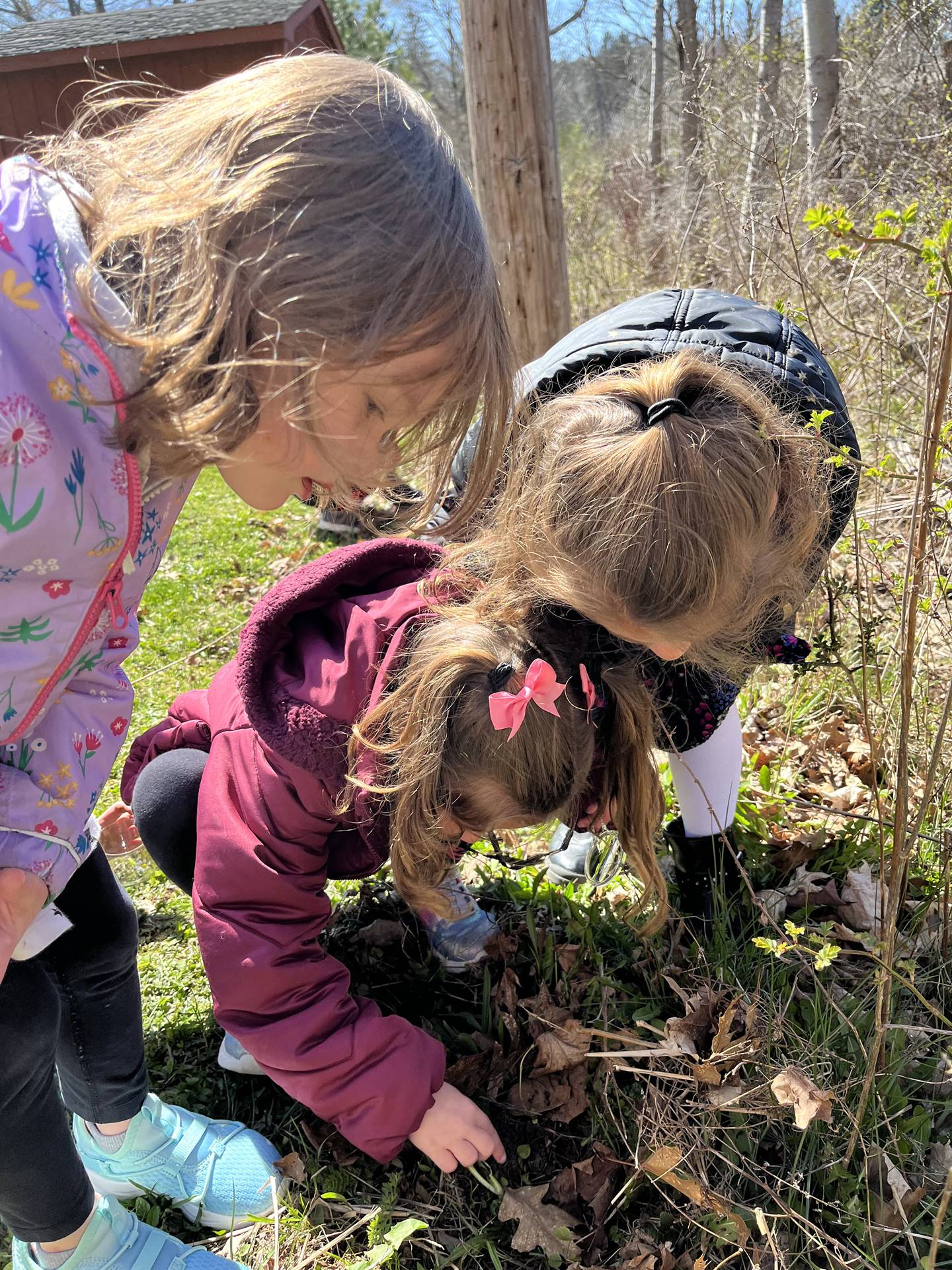 3 students outside looking under leaves.