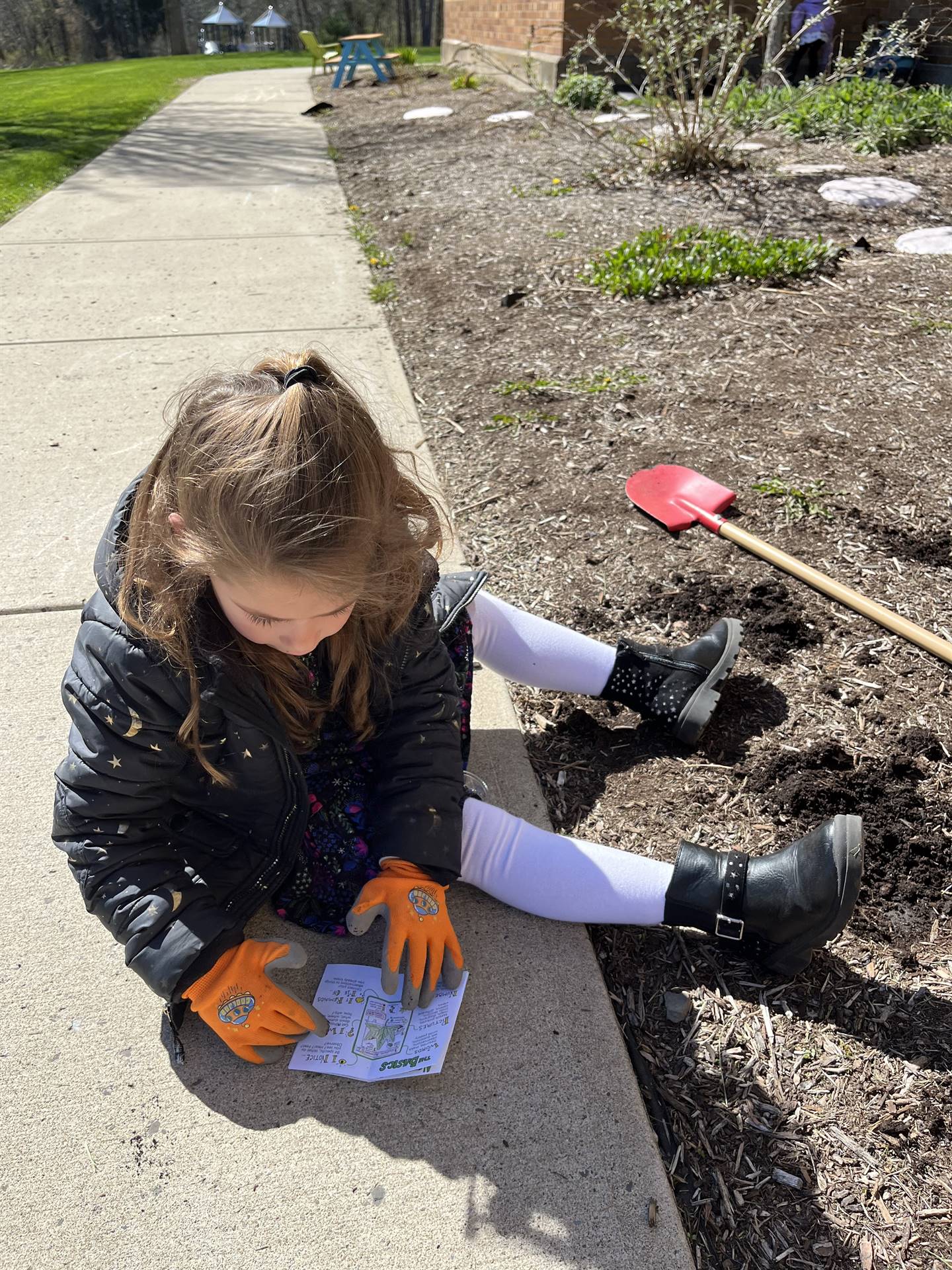 a student looks in a nature book.