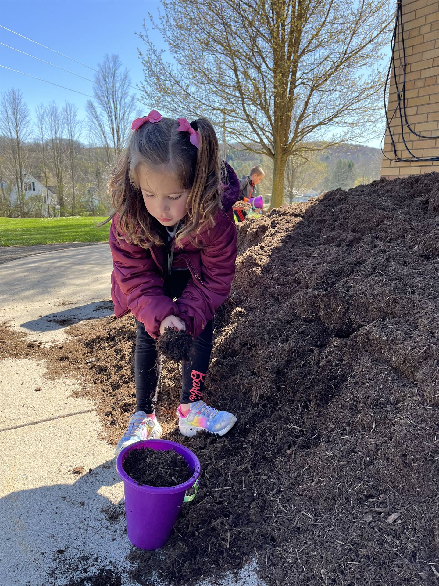 a student shovels mulch in a purple pail