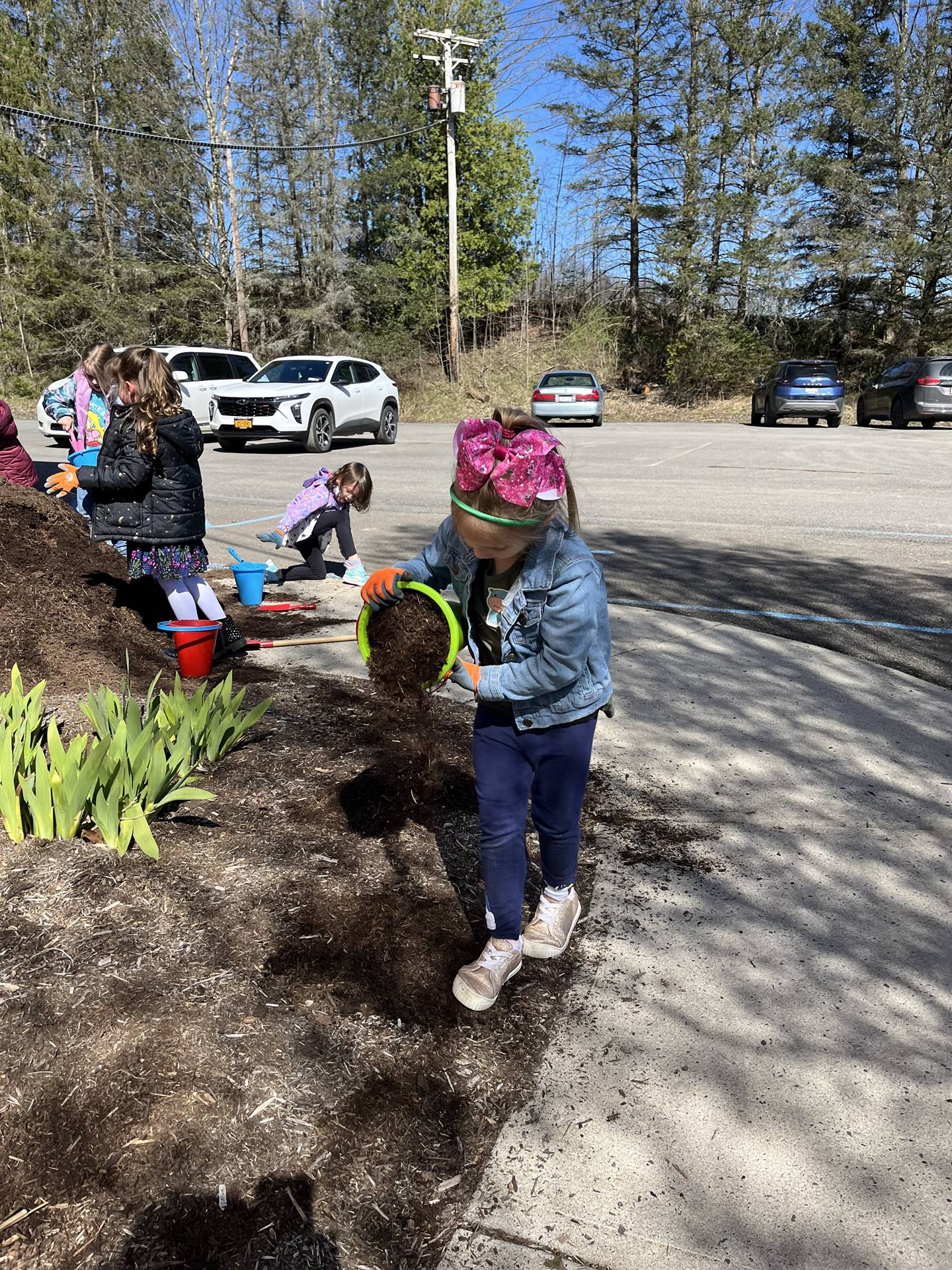 a student pours mulch out on the flower bed.