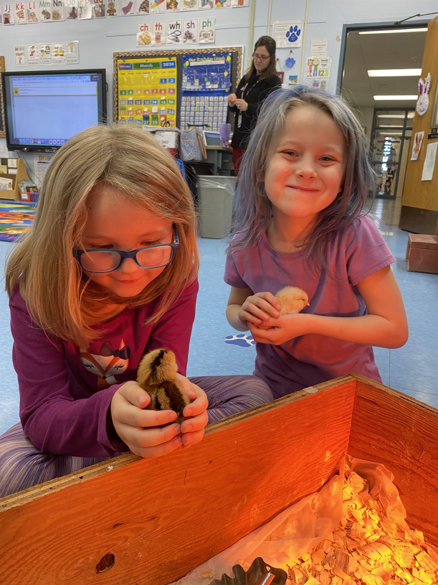 students hold chicks