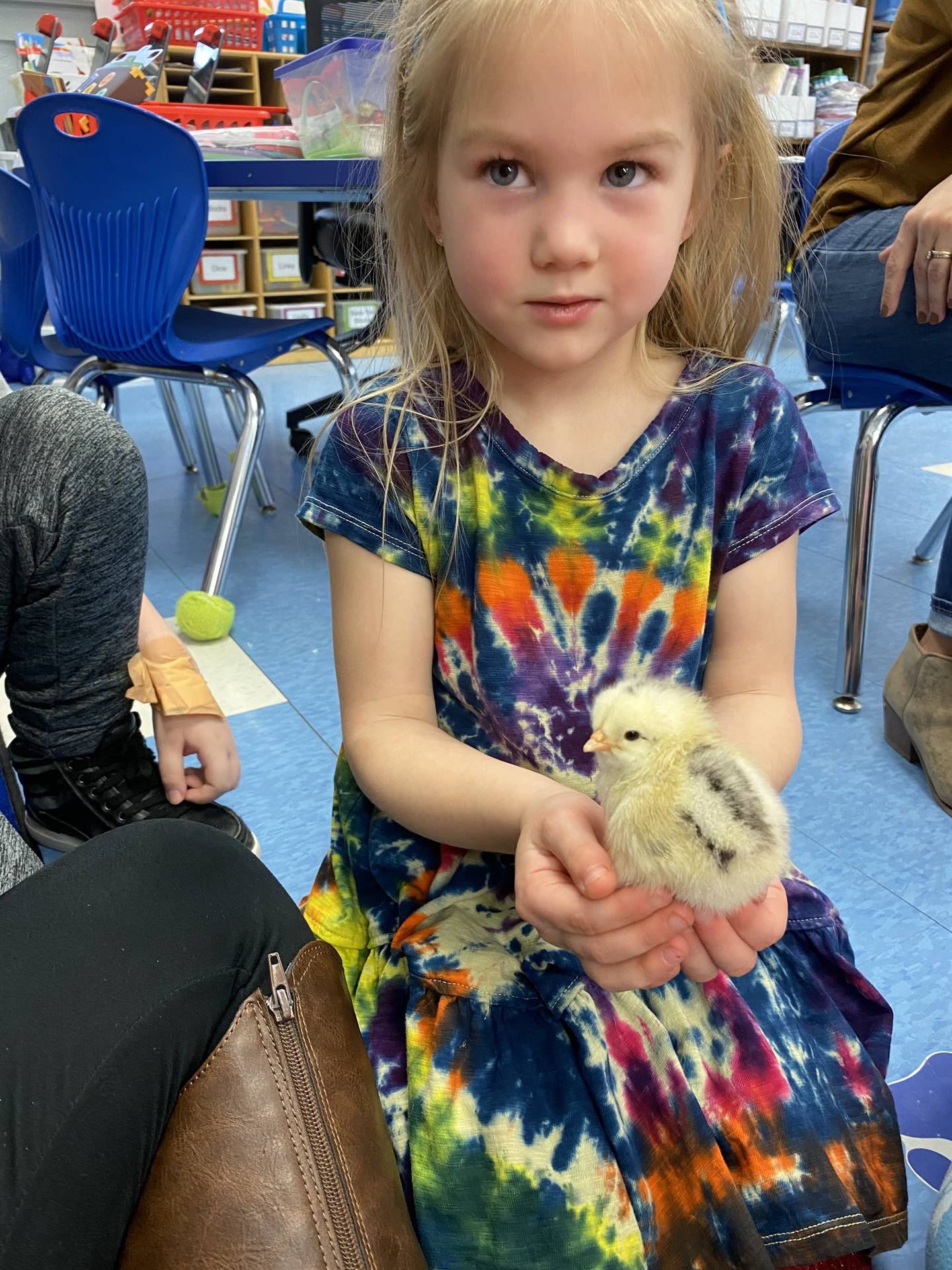 a student holds a chick