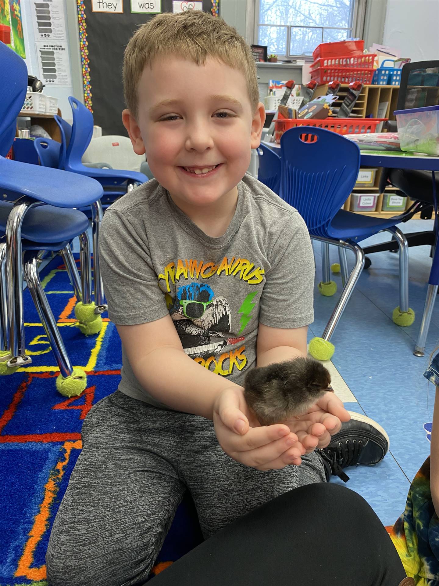 a student holds a chick