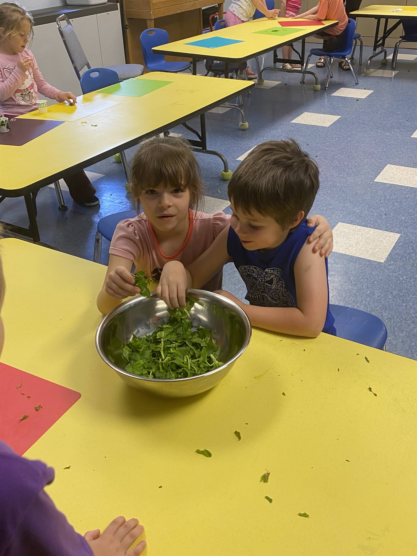 2 students ripping up swiss chard greens into a bowl.
