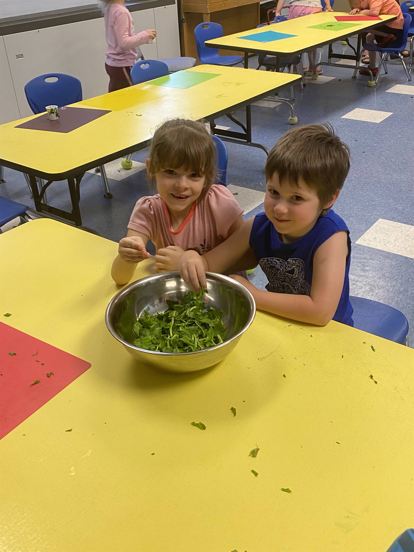 2 students ripping up swiss chard greens into a bowl.