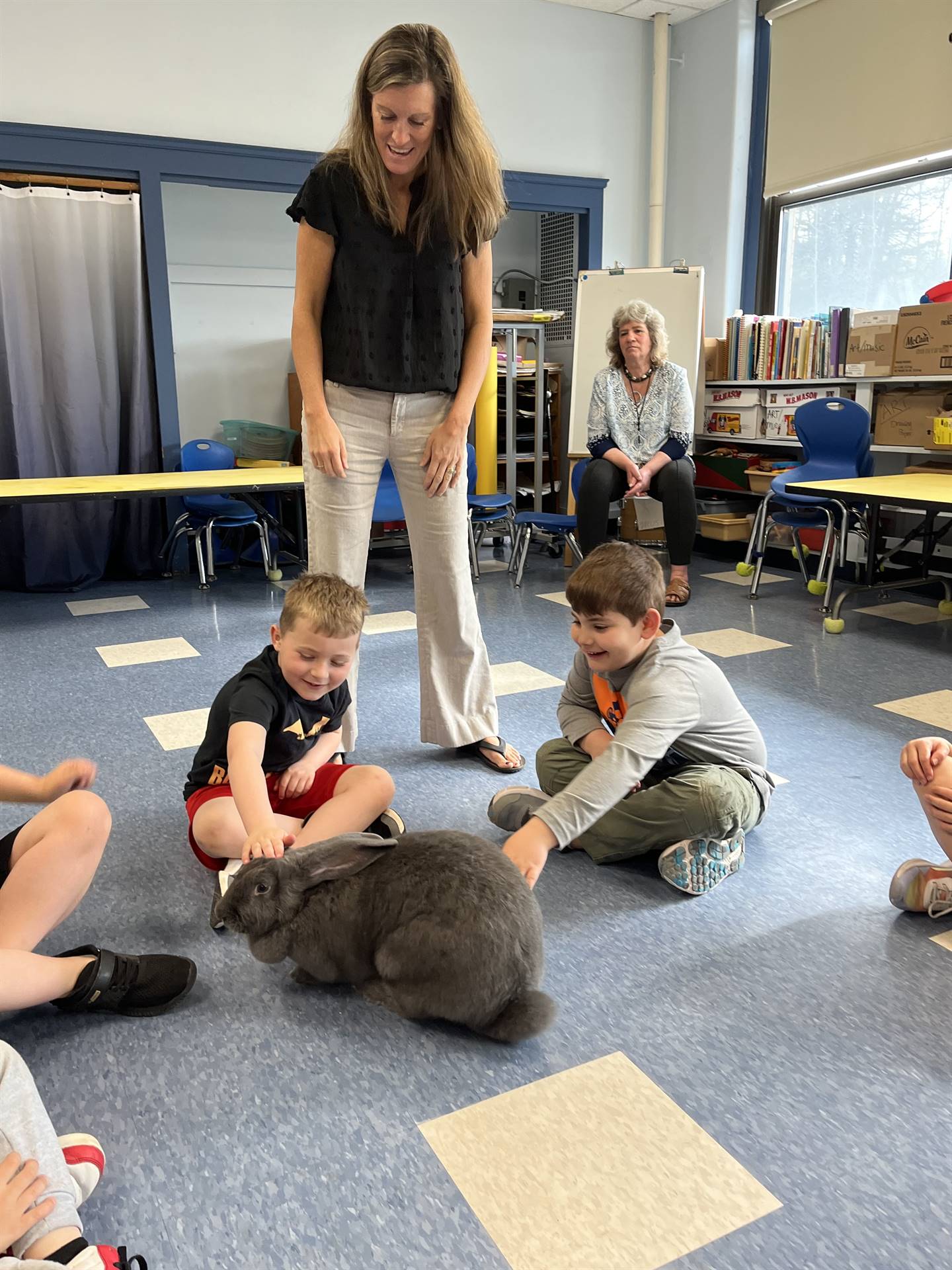students and teacher petting a large gray bunny