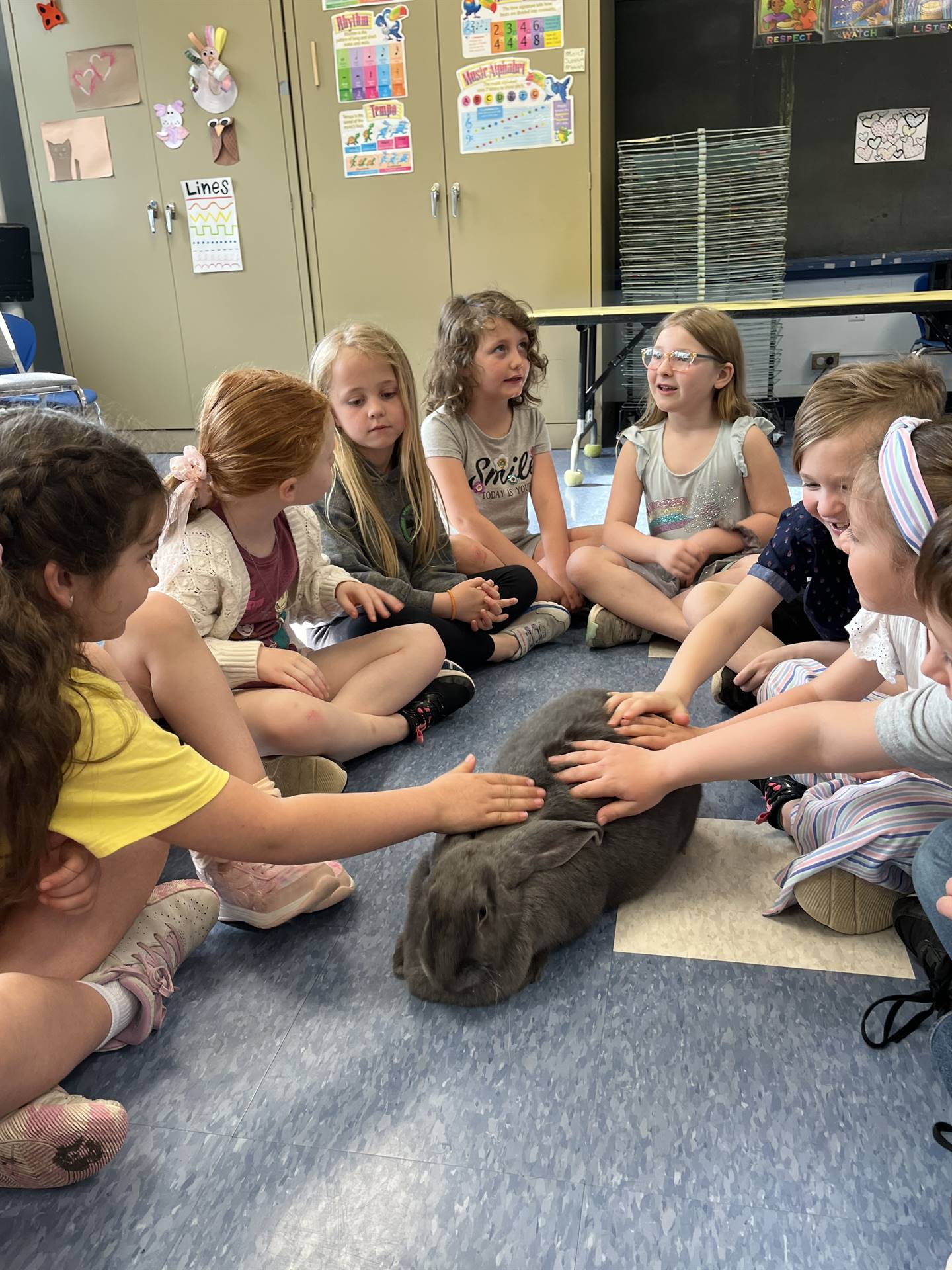 students petting a large gray bunny