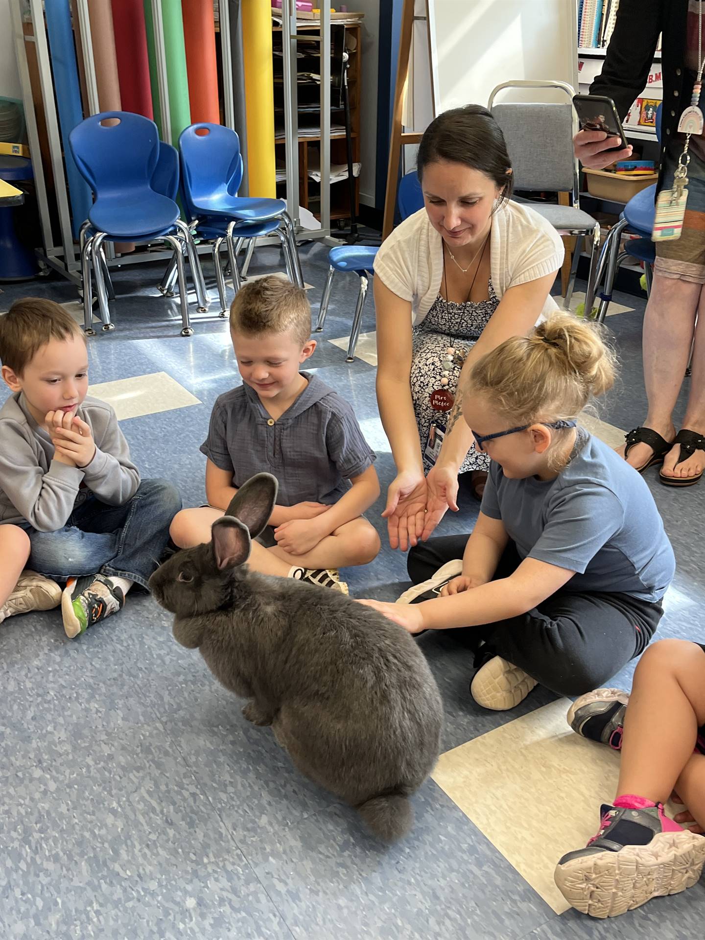 students petting a large gray bunny