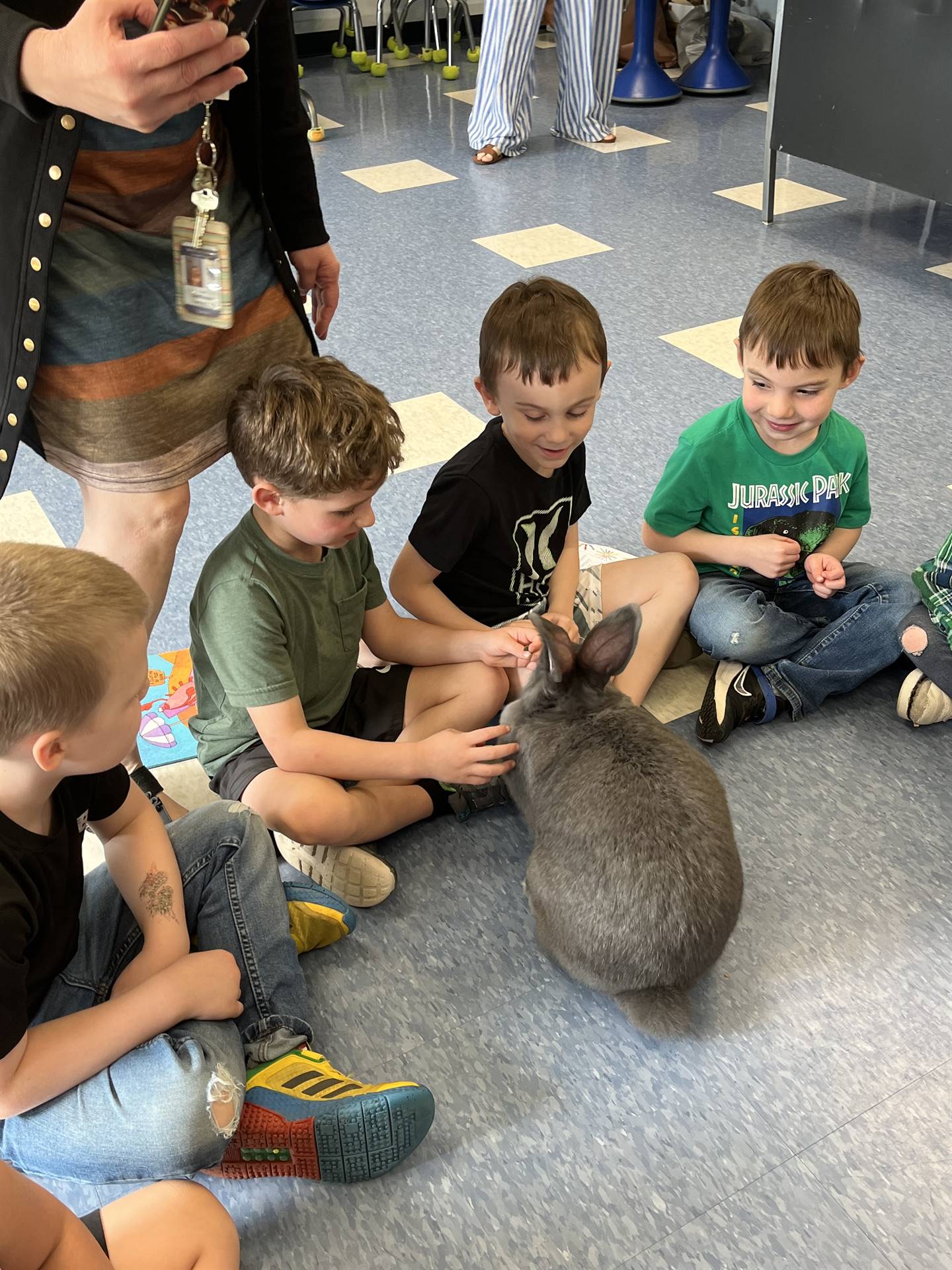 students petting a large gray bunny