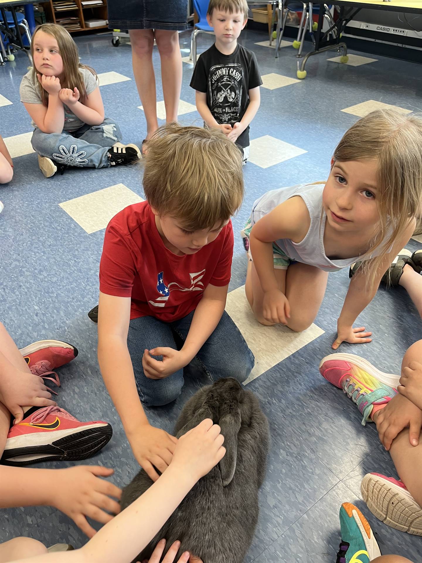 students petting a large gray bunny