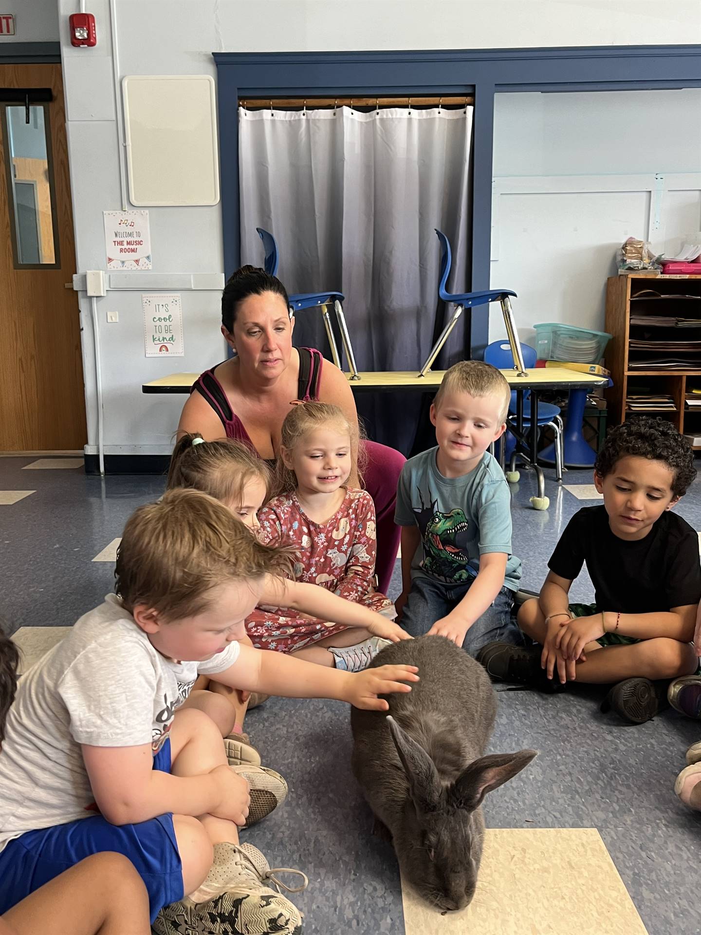 students petting a large gray bunny