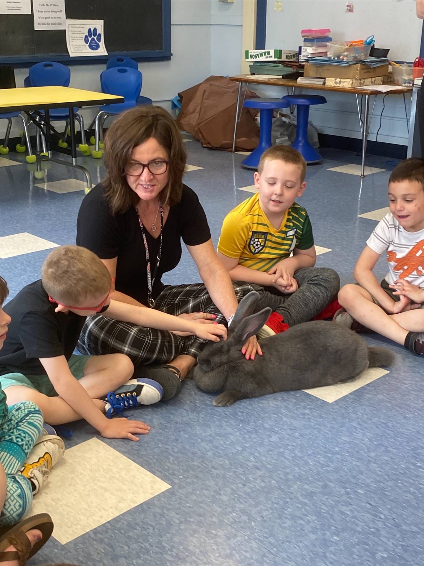 students and an adult petting a large gray bunny