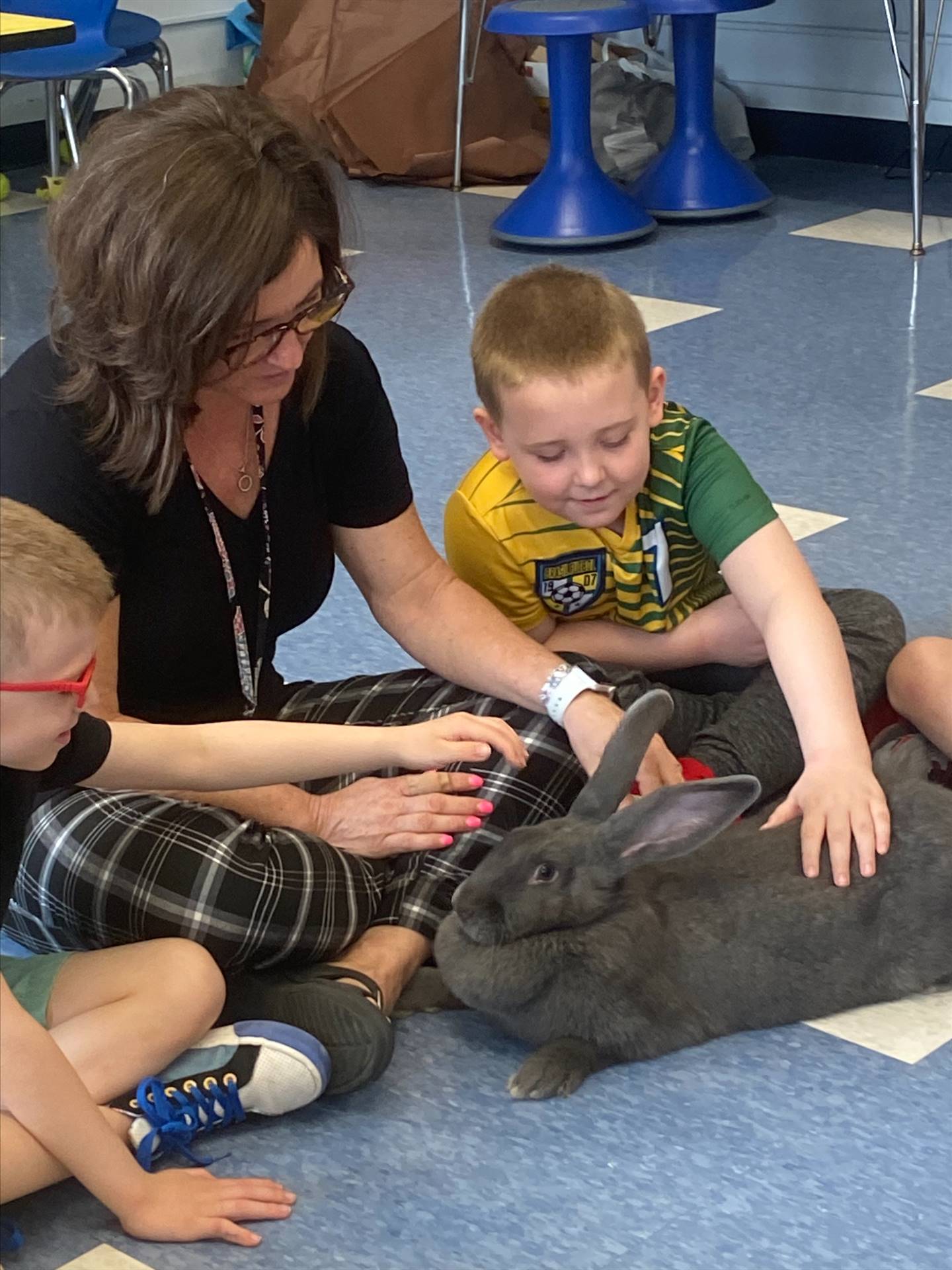 students and an adult petting a large gray bunny