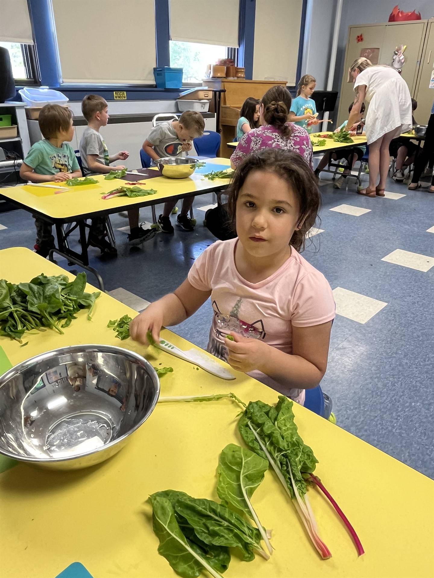 a student cutting up swiss chard greens.