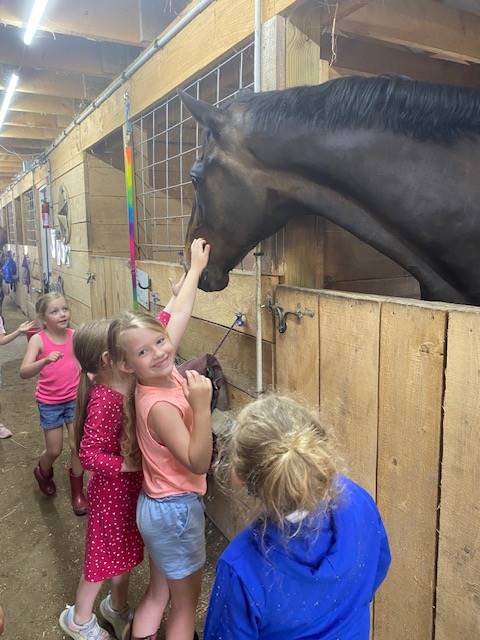students petting a horse