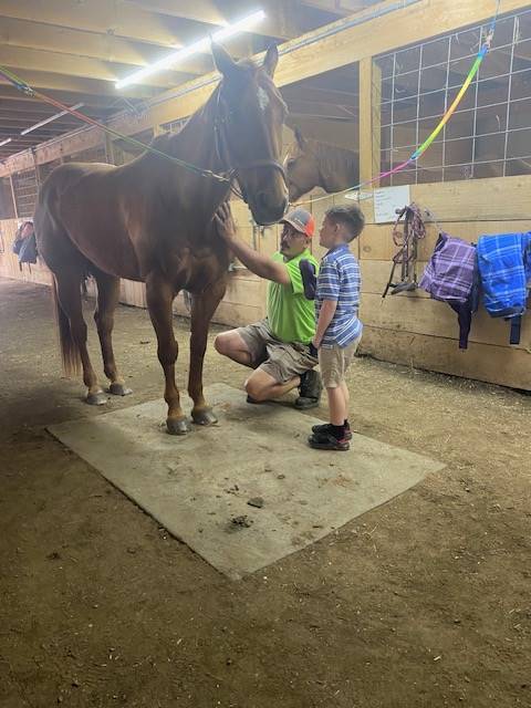 student helping to groom a horse