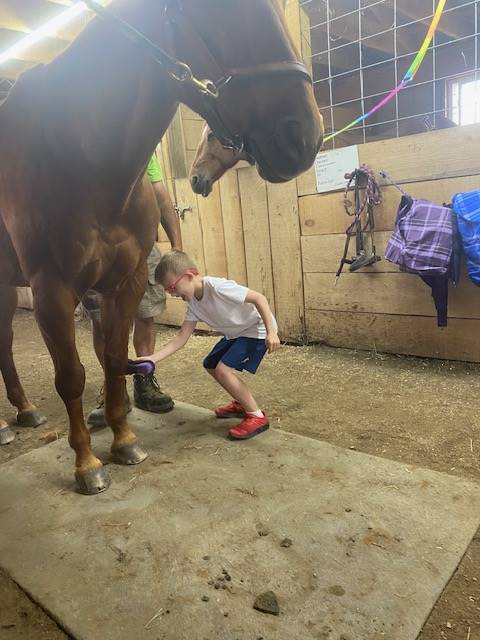 student helping to groom a horse