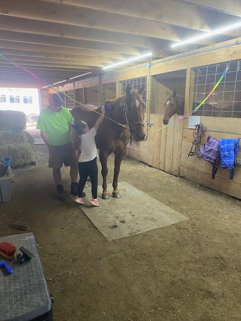 student helping to groom a horse
