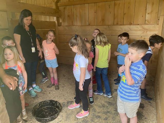 students inside a horse stall