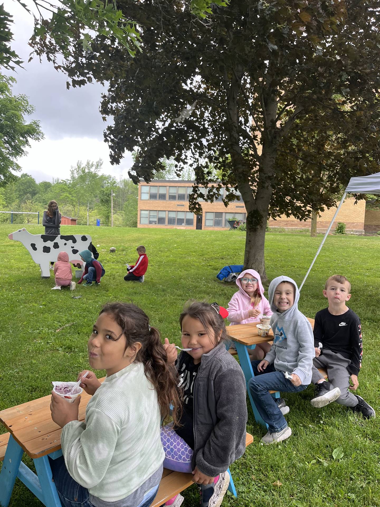 students at picnic tables eating yogurt.