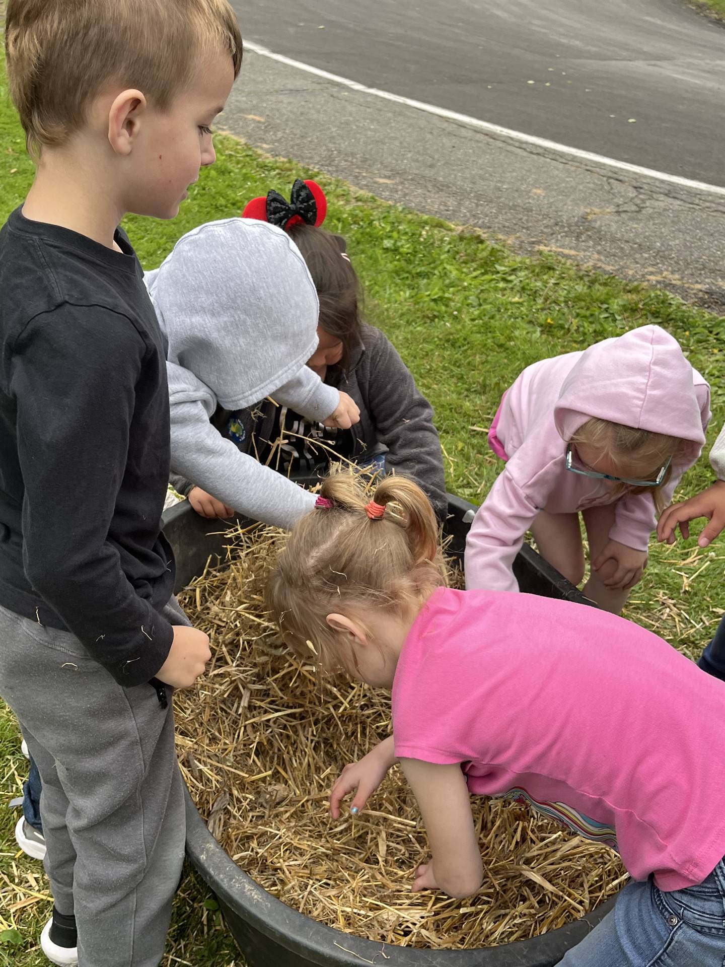 students digging for eggs found in a tub of straw.