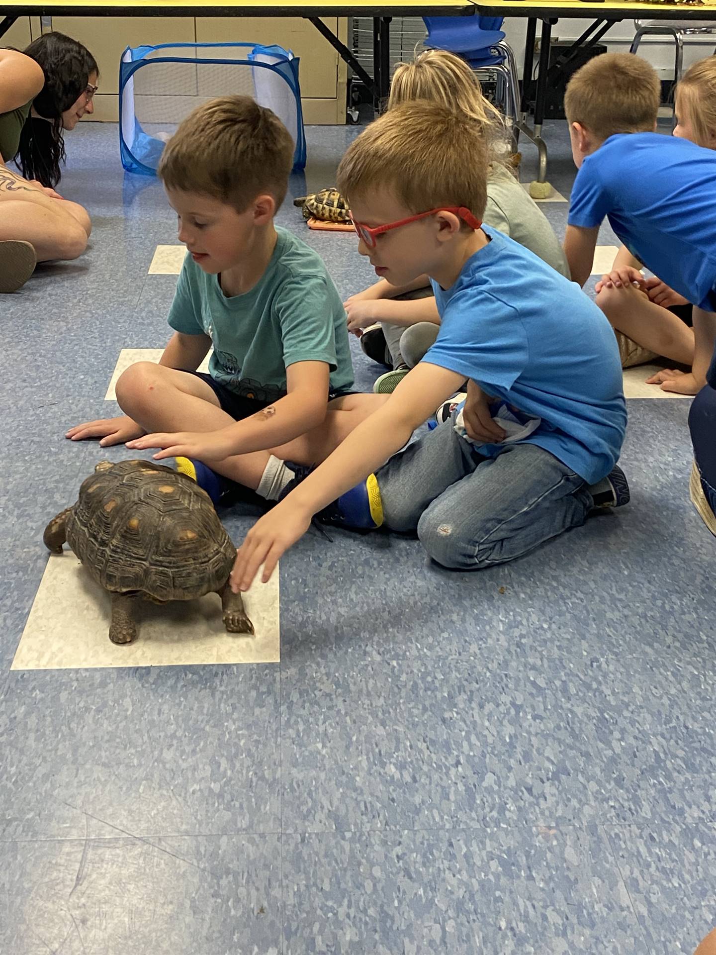 2 students pet a tortoise.