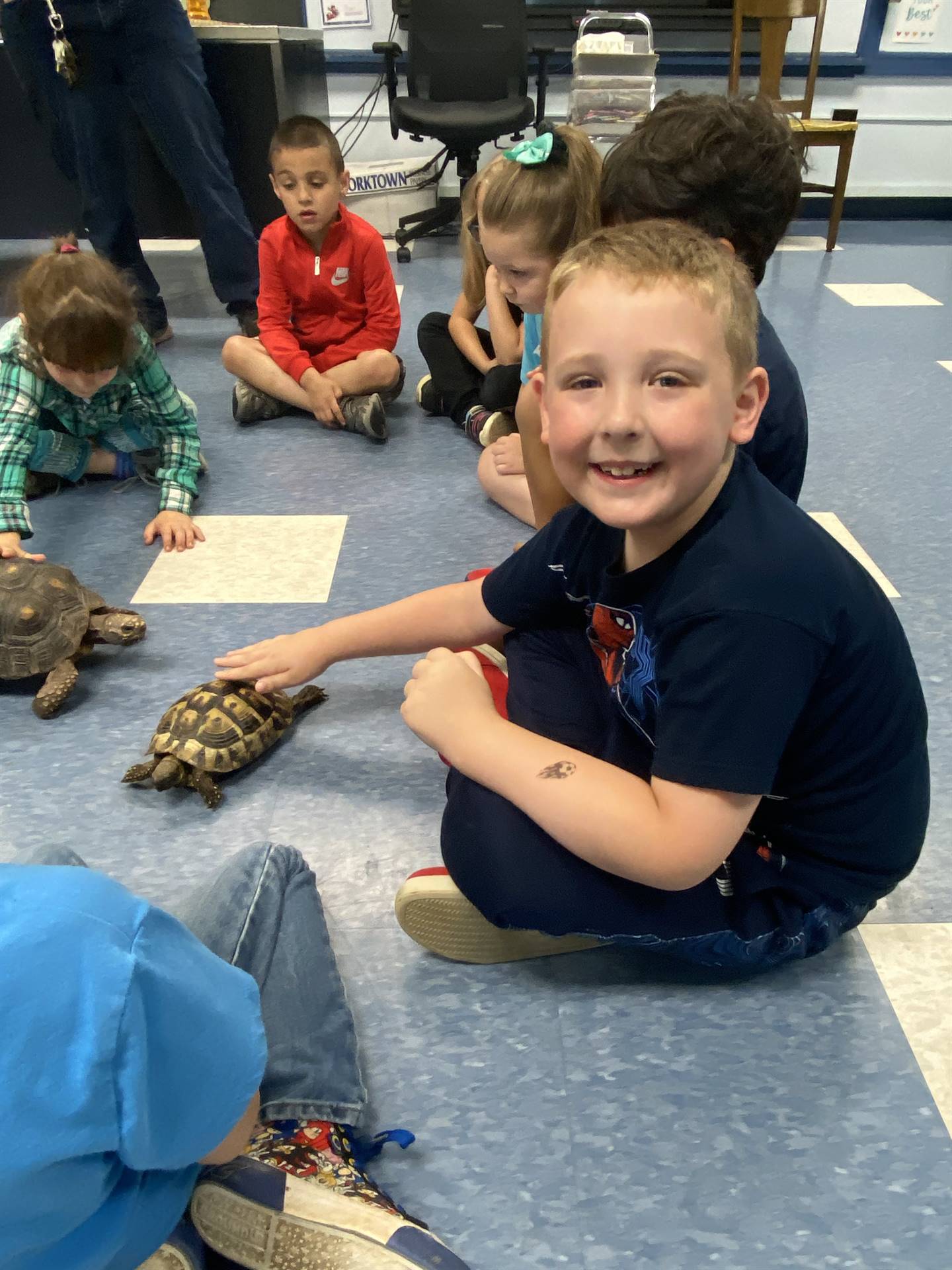 a student pets a tortoise.