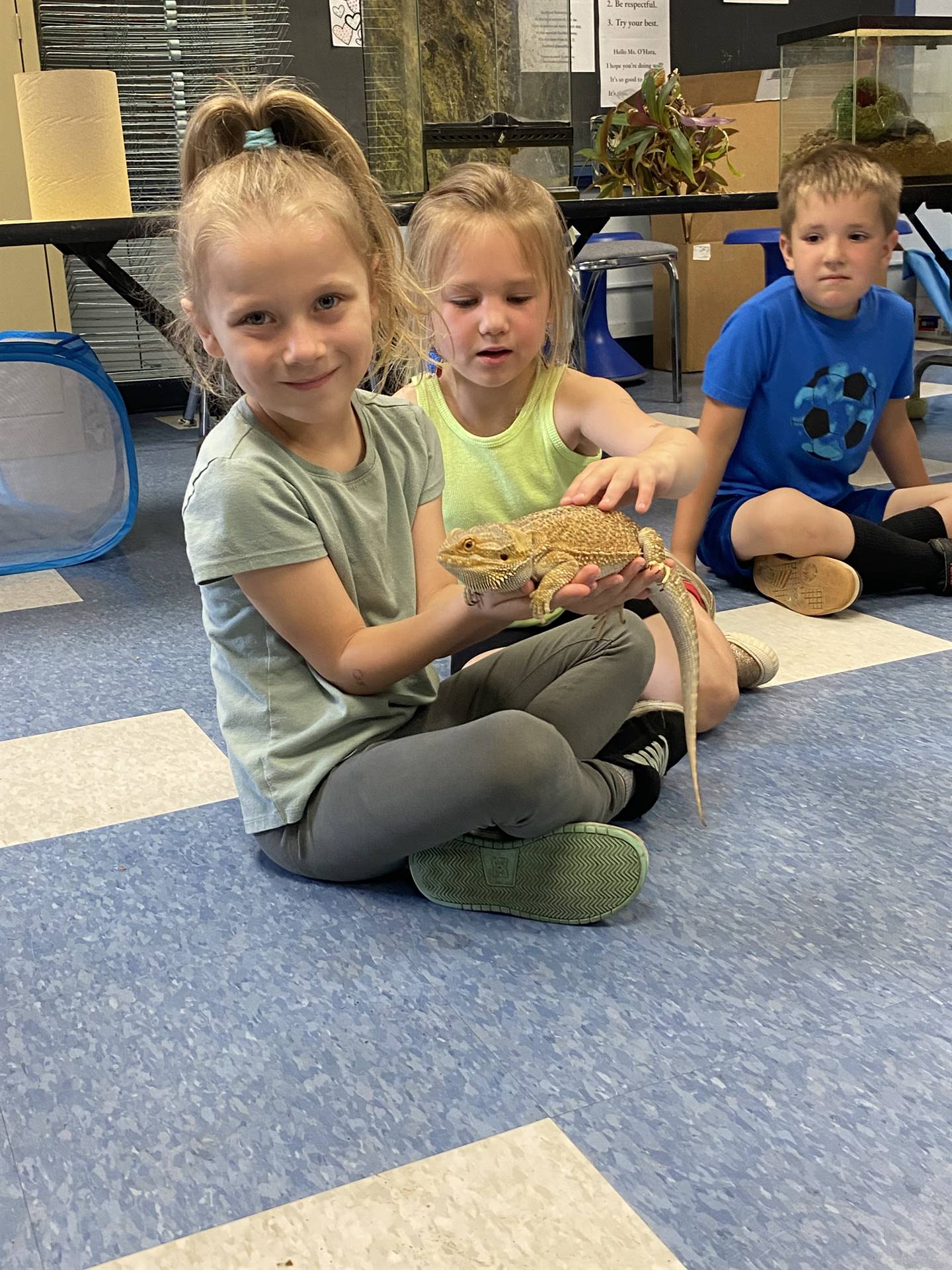 students pet and hold a reptile lizard