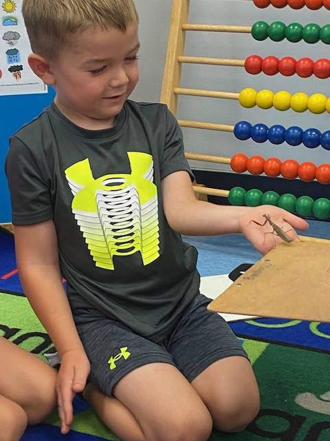 a student with a praying mantis on hand