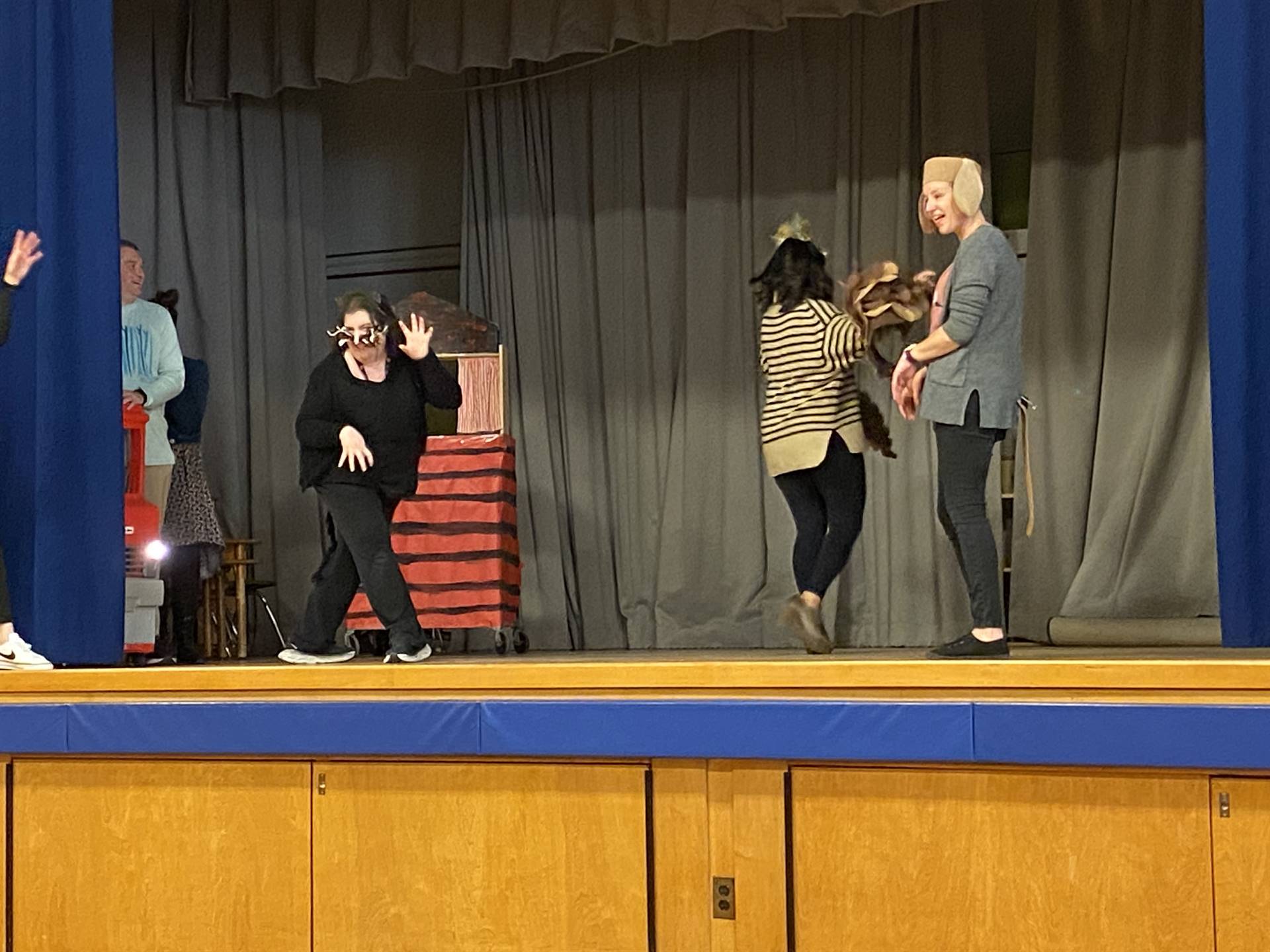 A black cat, owl, and puppy dog on stage