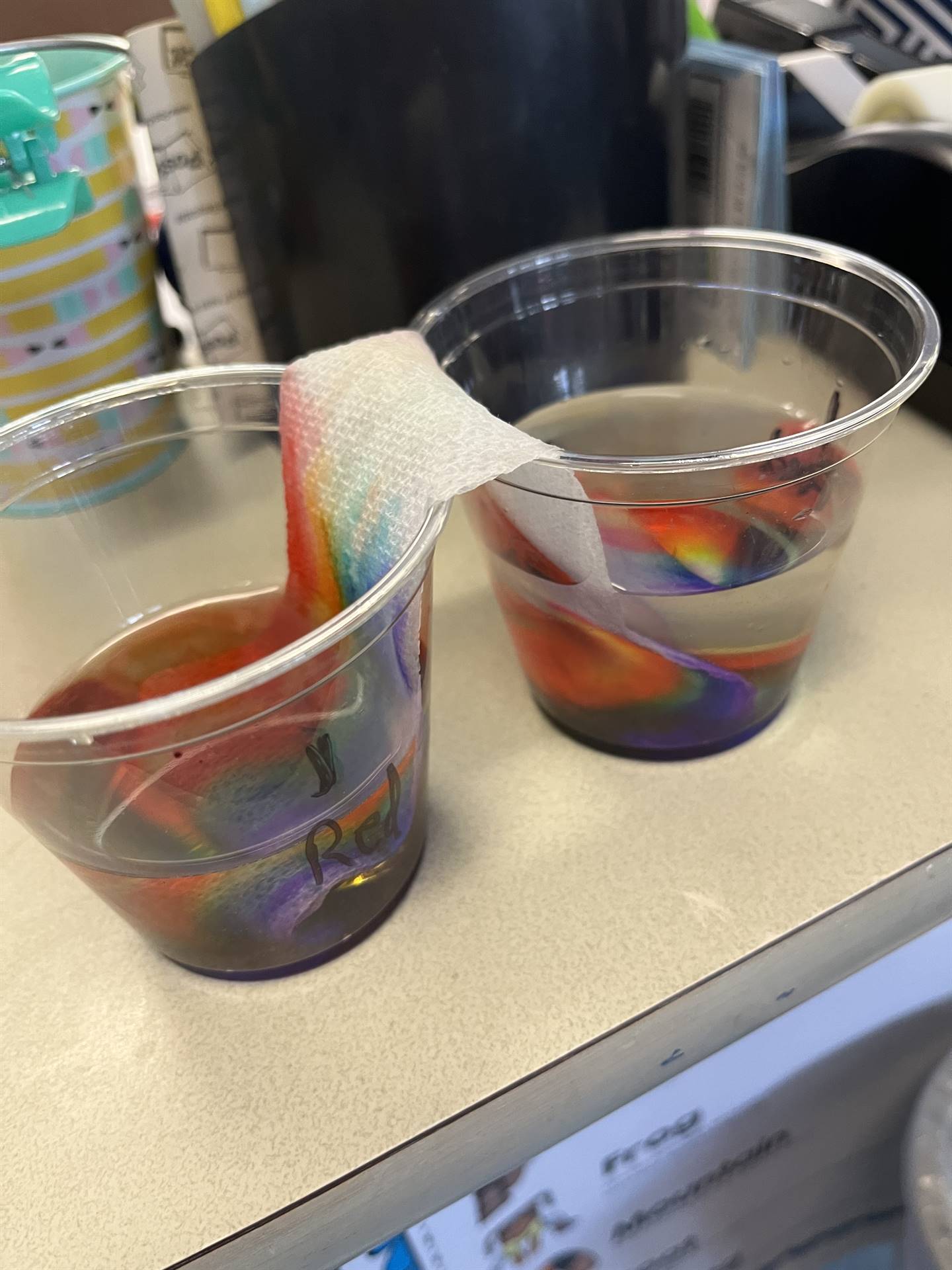 rainbow experiment in 2 clear cups