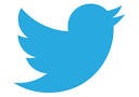 Twitter Logo blue bird